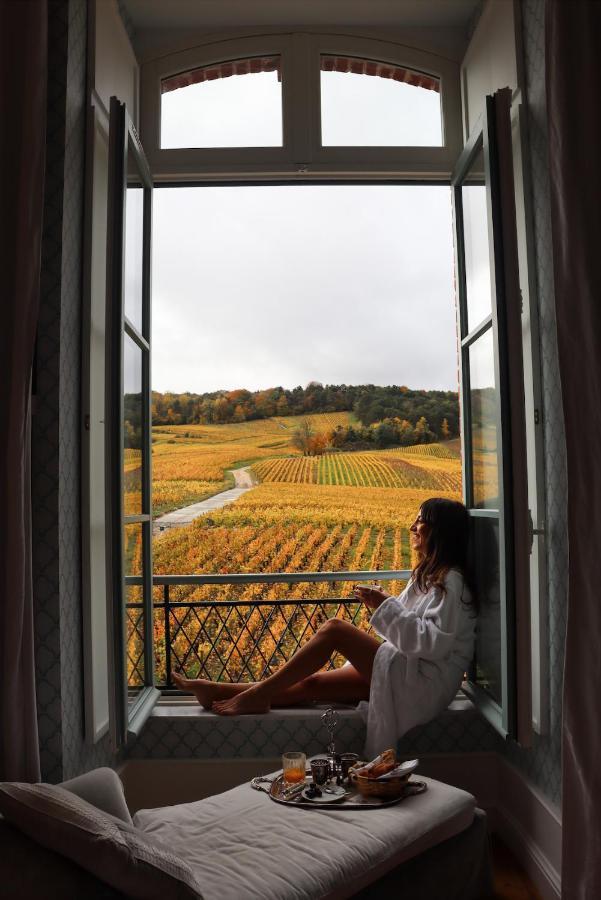 Chateau De Sacy Eksteriør bilde